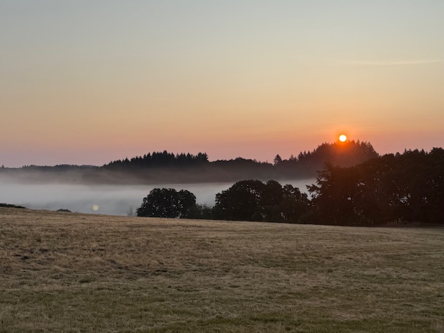 Vineyard people image 13