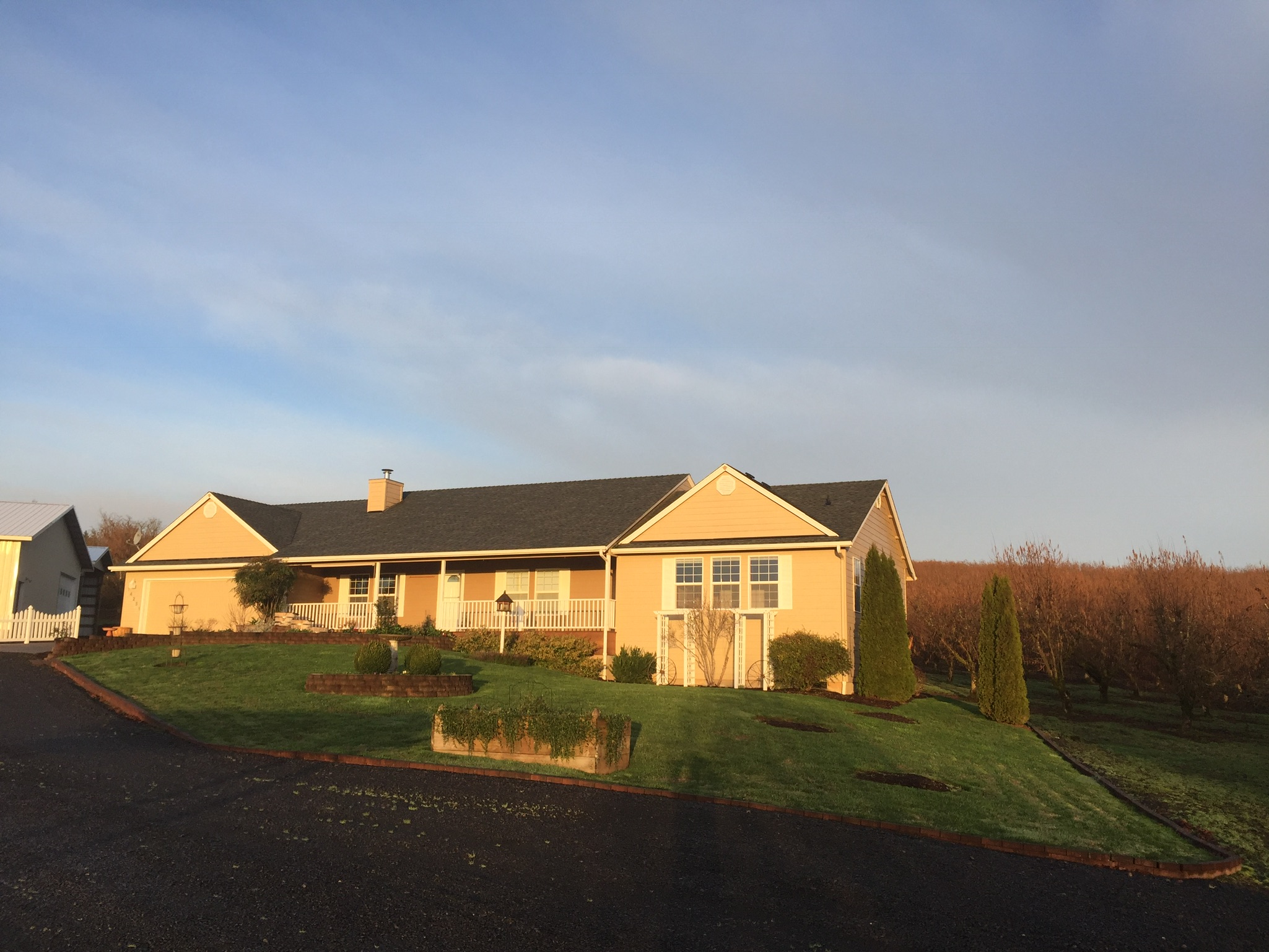 Vineyard landscape image 1