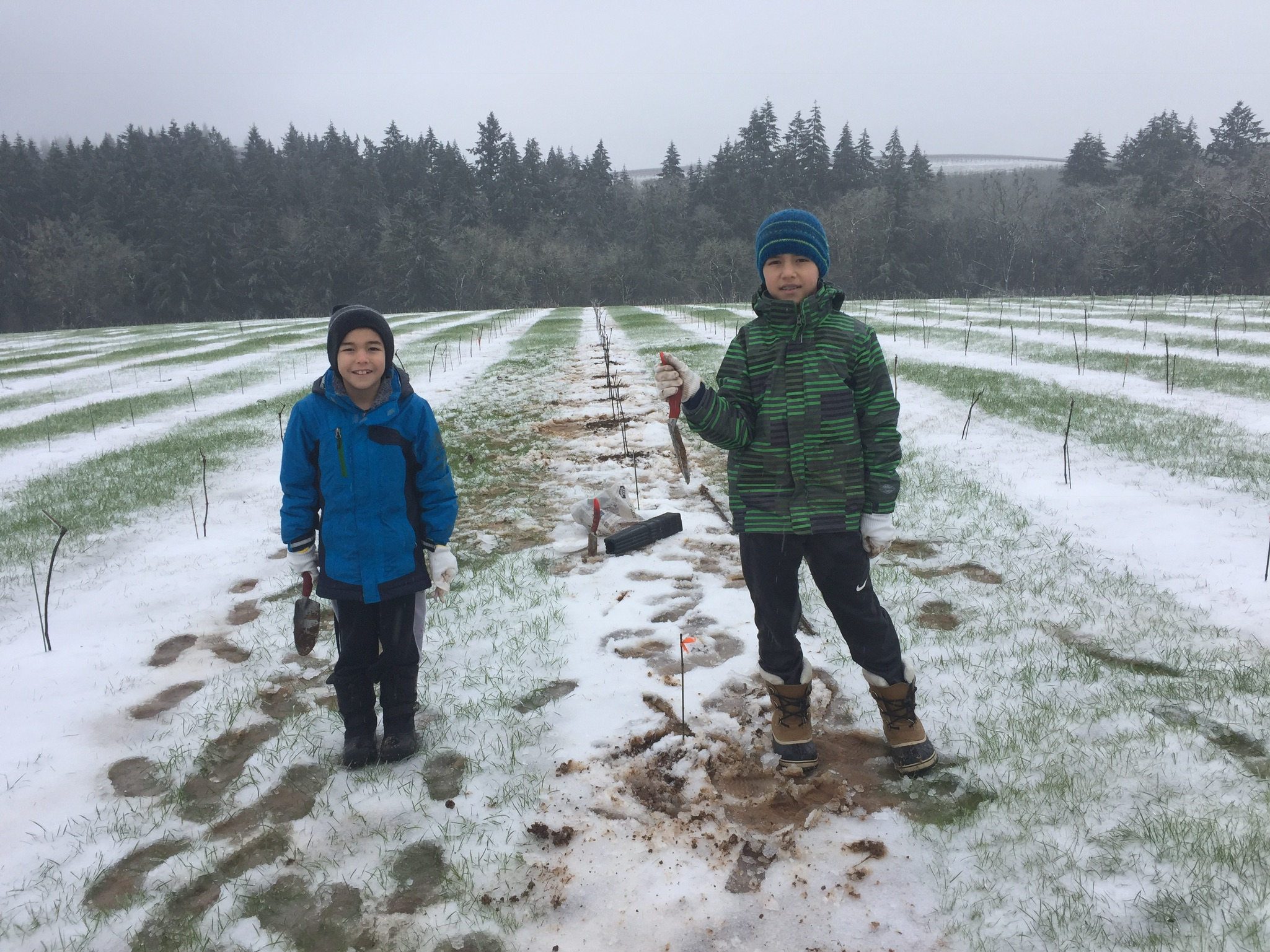 Vineyard people image 2