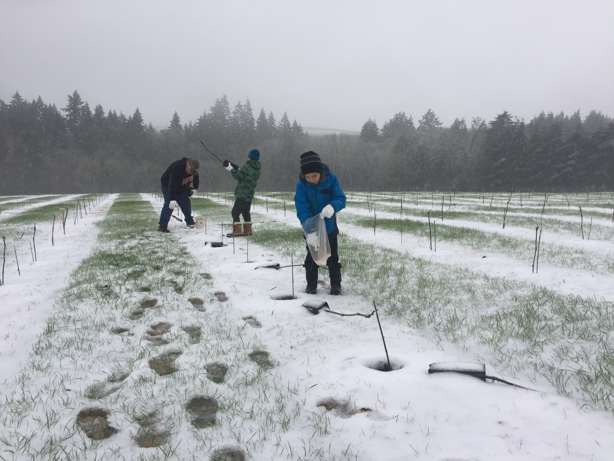 Vineyard people image 1