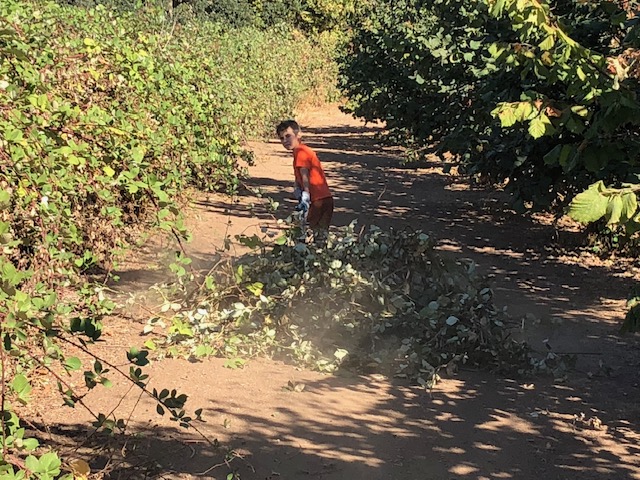 Vineyard people image 3