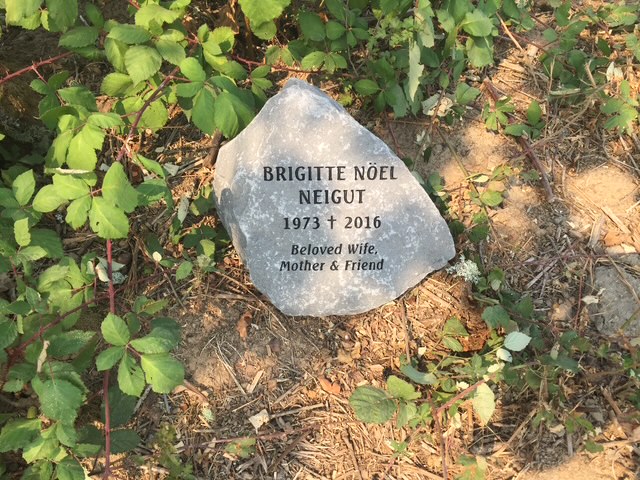 Vineyard landscape image 5