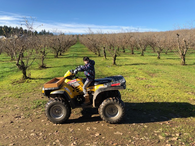 Vineyard landscape image 4